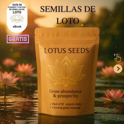 Semillas de Loto Lotus Seeds® - Todo florece cuando tu energía está en armonía… incluso tú