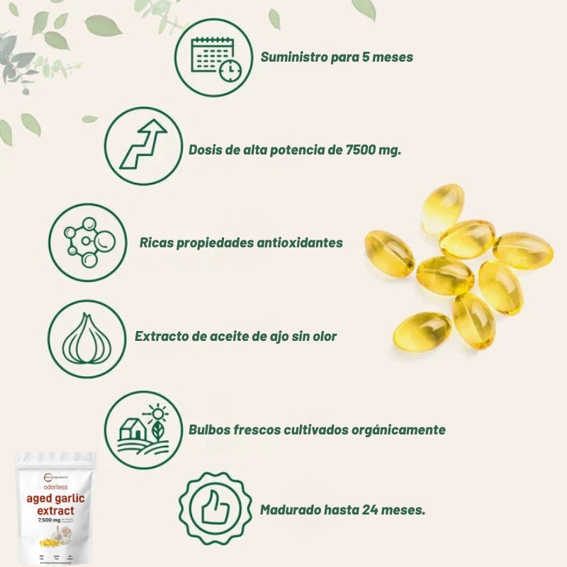 Micro Ingredients - Cápsulas blandas de extracto de ajo